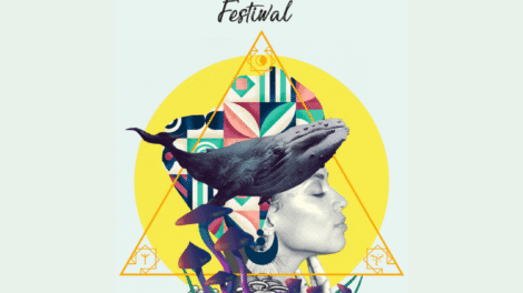 festiwal wibracje