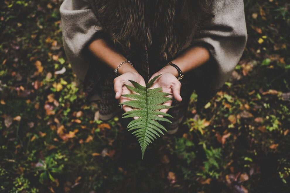 Wypadanie włosów jesienią