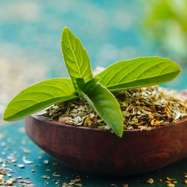tulsi