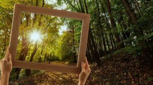 Konkurs-Nature-Organics-TOP-PRODUCTS-2024-final-juz-15-marca-1